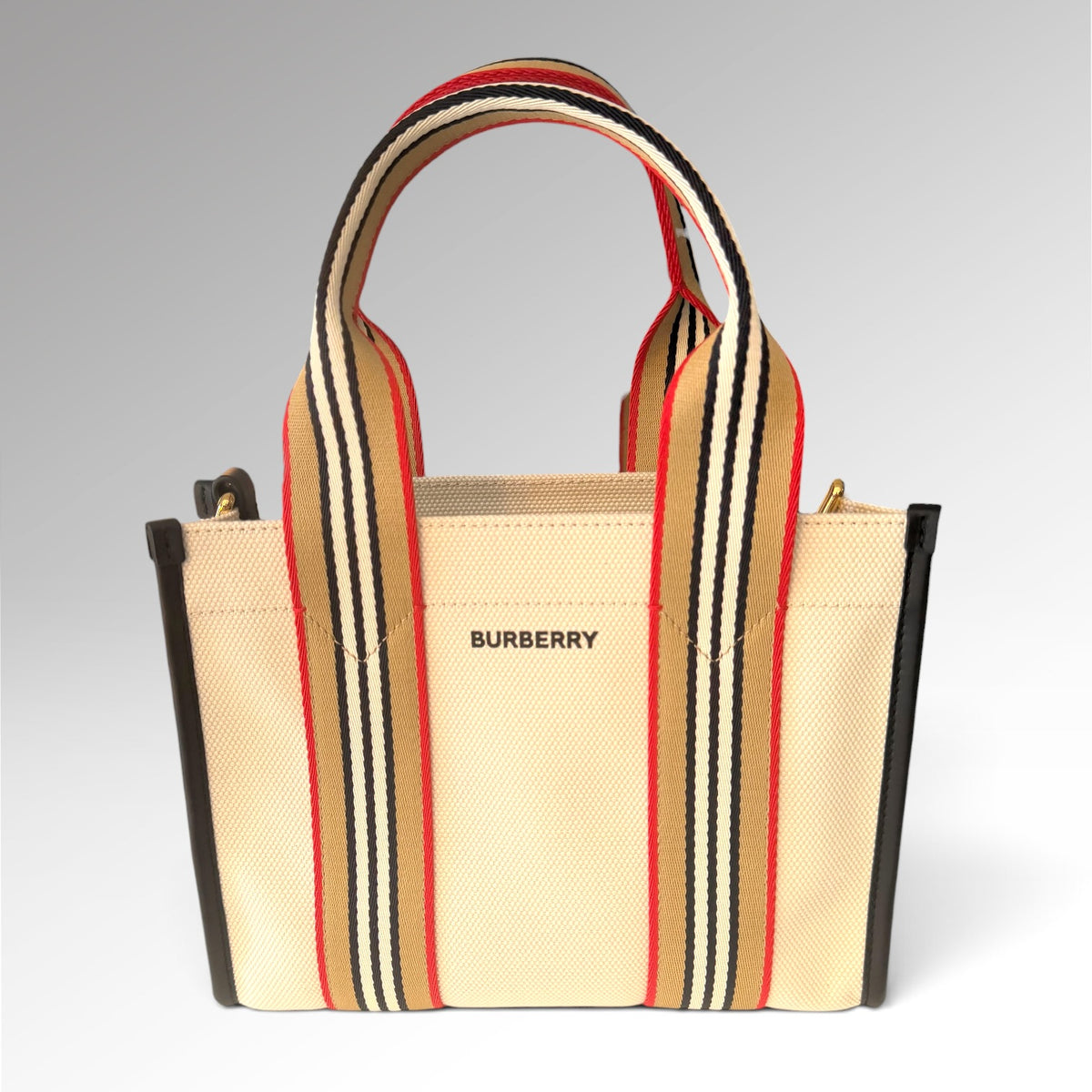 Sac Icon Stripe Trim Canvas Tote