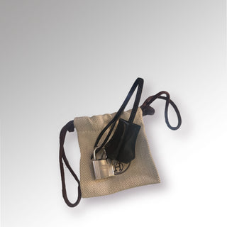 Kelly II Sellier 25 Bag